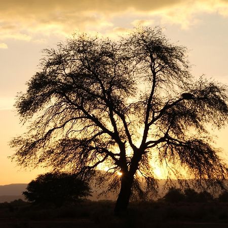 Andes Nomads Desert Camp & Lodge San Pedro de Atacama Exterior foto